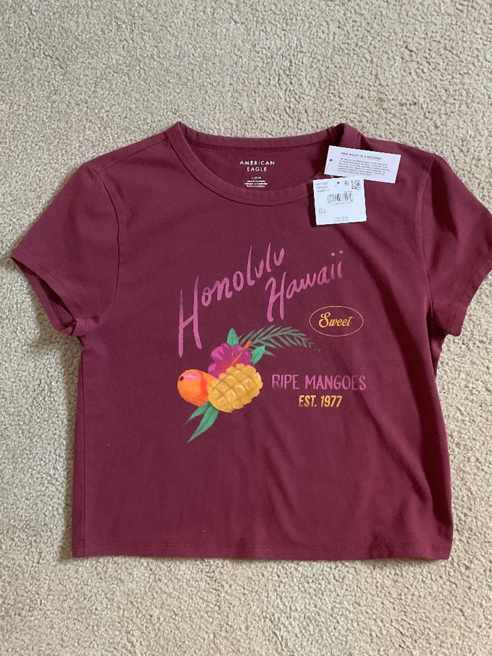 American Eagle Womens T shirt size large. NWT